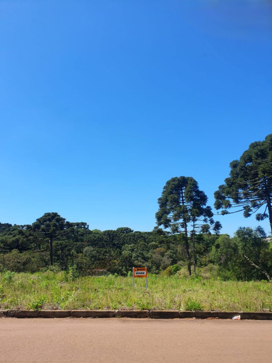 Terreno - Venda - Bela Vista I - Pira do Sul - PR