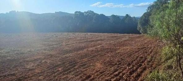 Rural - Venda - Cachoeira - Pira do Sul - PR