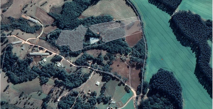 Rural - Venda - Campo do Cerrado - Pira do Sul - PR