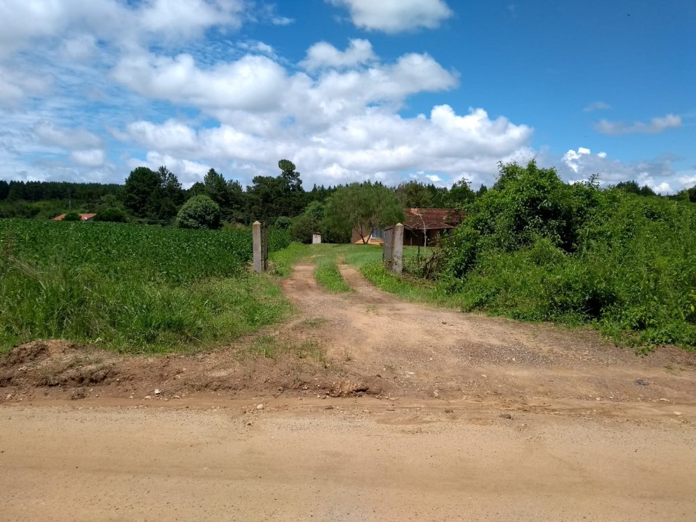 Rural - Venda - Machadinho - Pira do Sul - PR