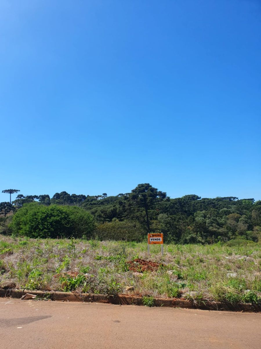 Terreno - Venda - Bela Vista I - Pira do Sul - PR