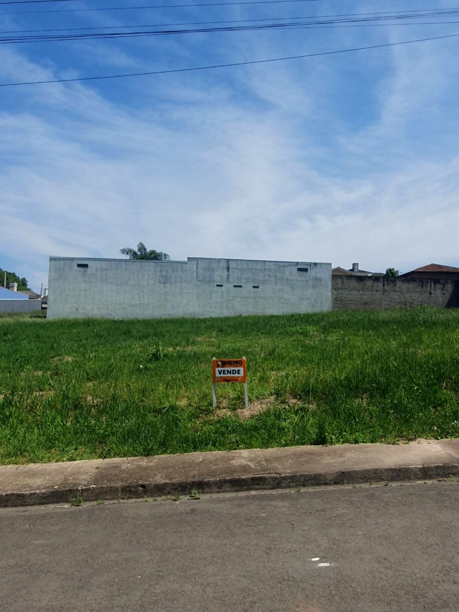 Terreno - Venda - Vila dos Médicos - Piraí do Sul - PR