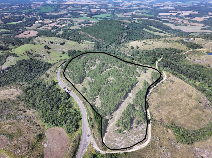 Rural - Venda - Serrinha do Pira� - Pira� do Sul - PR