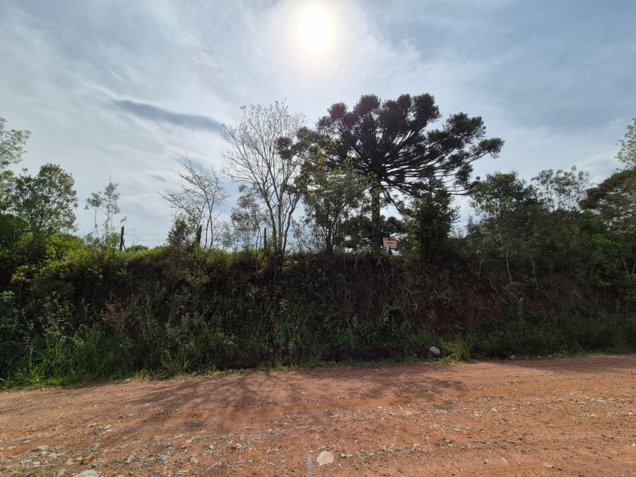 Rural - Venda - Quinhão dos Anhaias - Piraí do Sul - PR