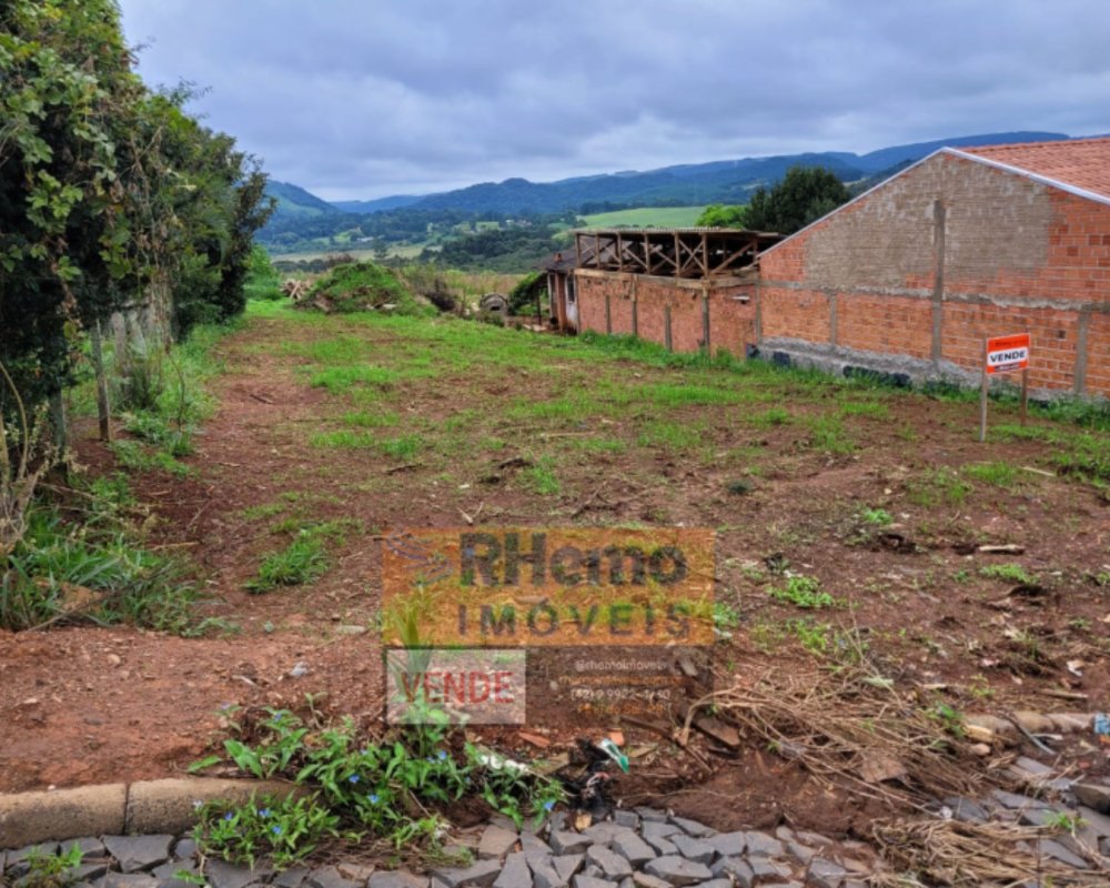 Terreno - Venda - Cristo Redentor - Piraí do Sul - PR