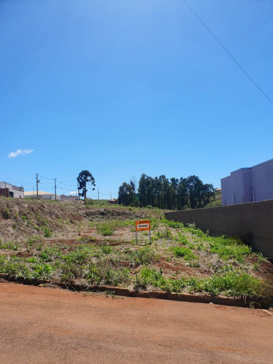 Terreno - Venda - Bela Vista I - Pira do Sul - PR