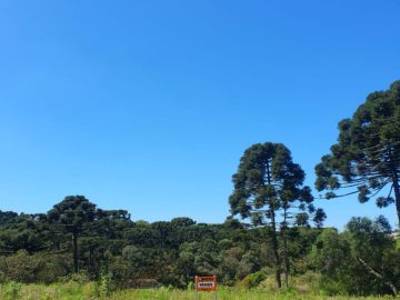 Venda - Terreno - Bela Vista I