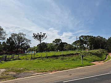 Terreno - Venda - Quinh�o dos Anhaias